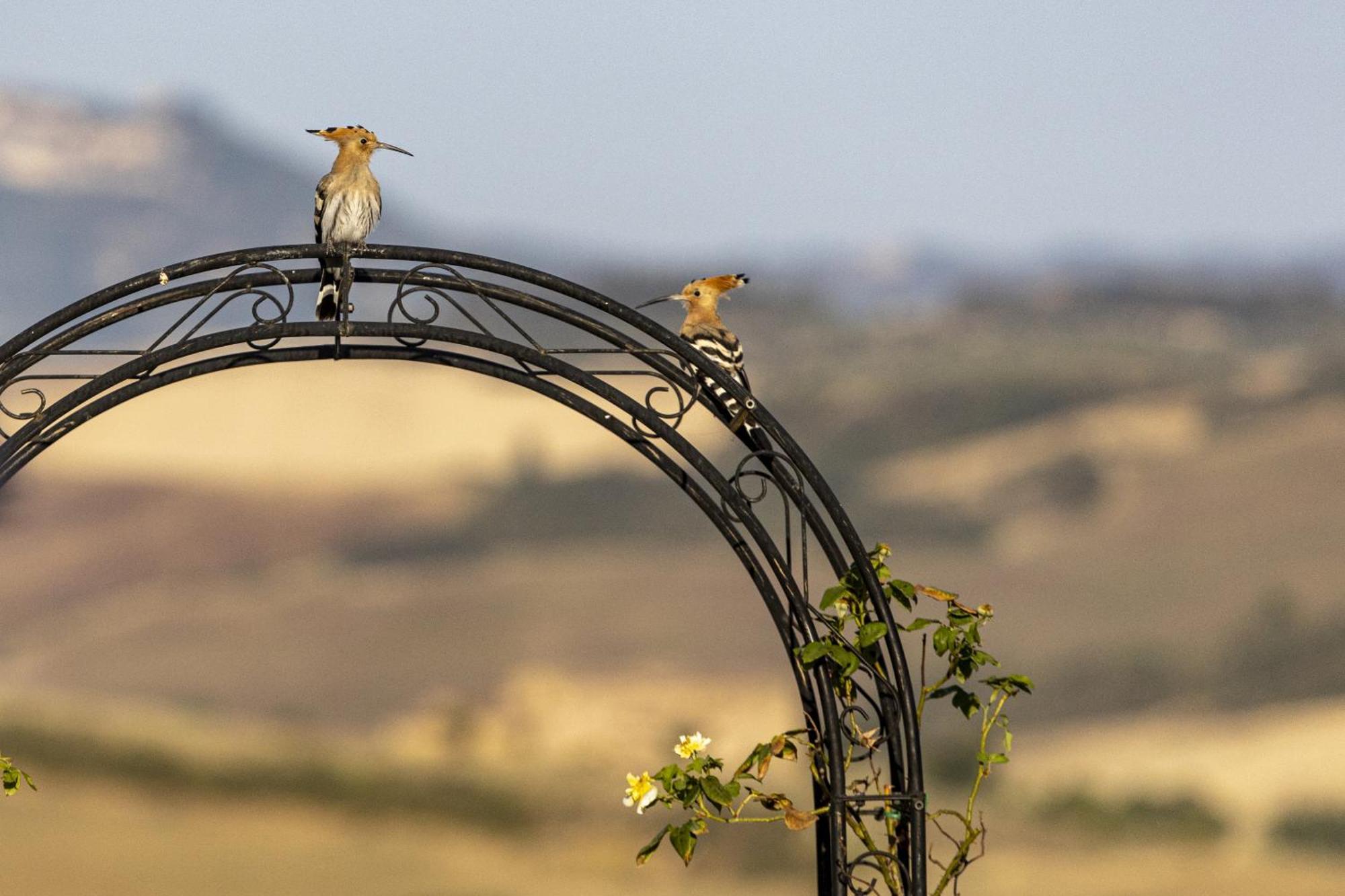 Vila Vento D'Orcia Pienza Exteriér fotografie