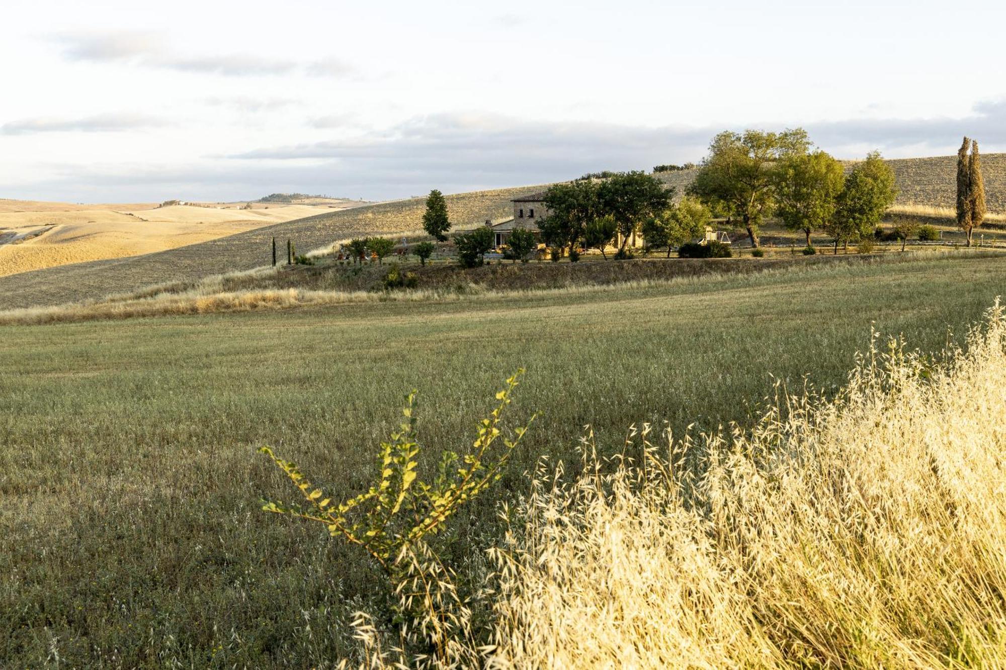 Vila Vento D'Orcia Pienza Exteriér fotografie